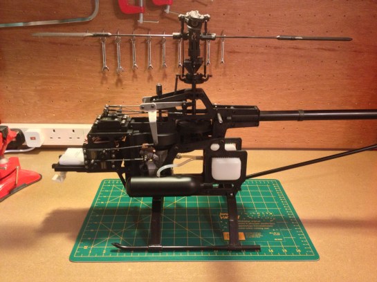 Hawk Mechanics IMG_0358