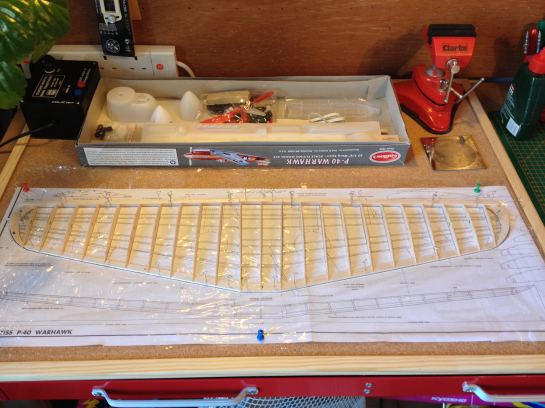 Guillows P40 Ribs Glued Guillows P40 (A) Ribs Glued