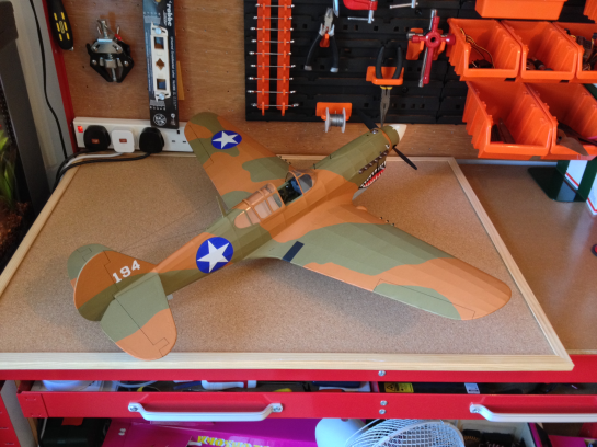 Gulliows P40 Finished