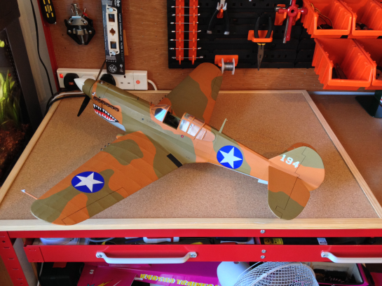 Gulliows P40 Finished