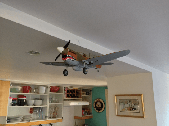 Gulliows P40 Finished