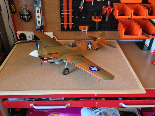 Gulliows P40 Finished