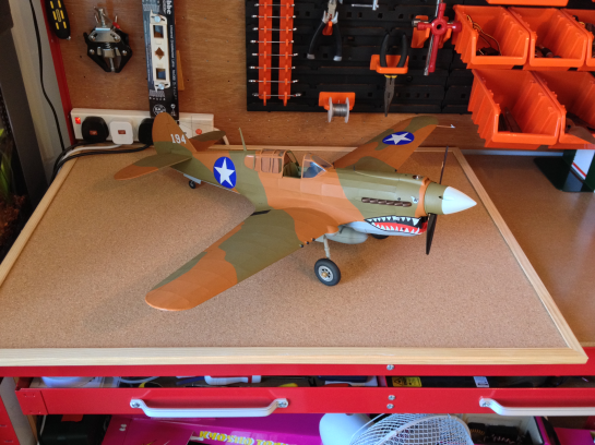 Gulliows P40 Finished