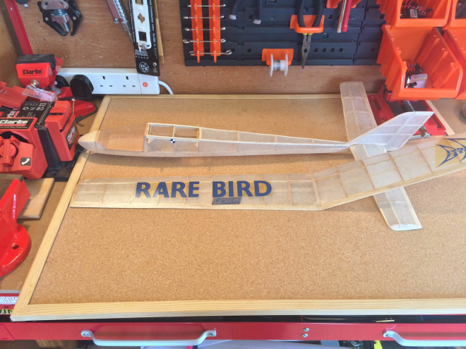 DPR Rare Bird 25.05.15 (7)