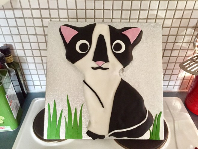 Cat cake